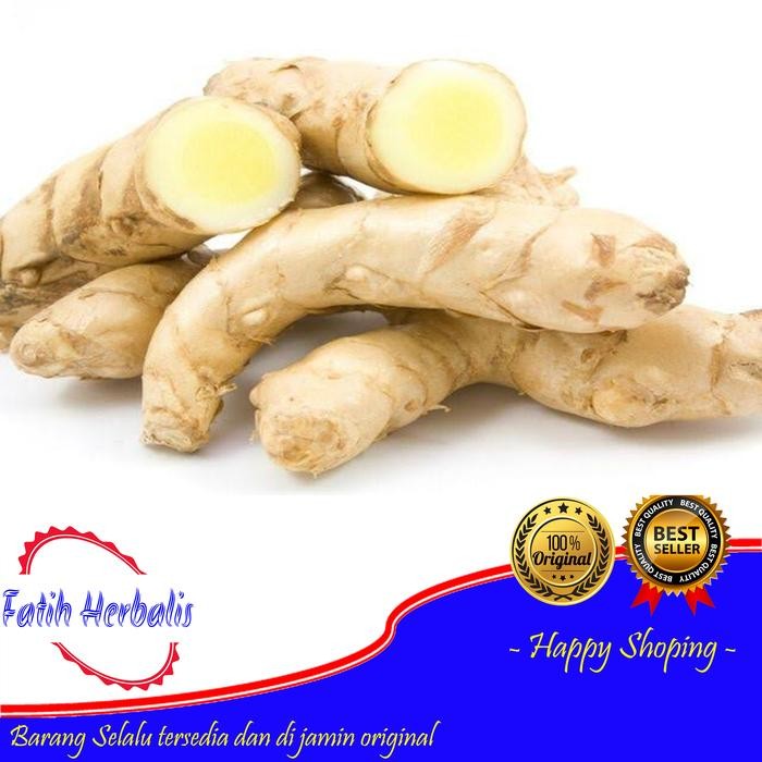 

Terlaris Kunyit Putih