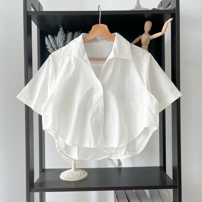 Pola Mewah Bolero Crop Kemeja Twistcone All Size 7 Warna