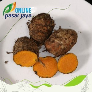 

Terlaris Biang Kunyit - 250 Gram