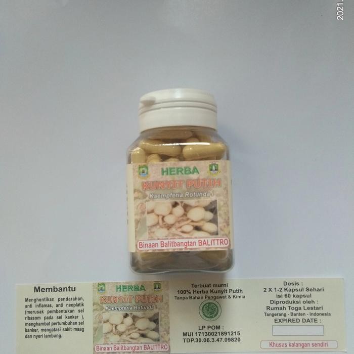 

Terlaris Herba Kunyit Putih