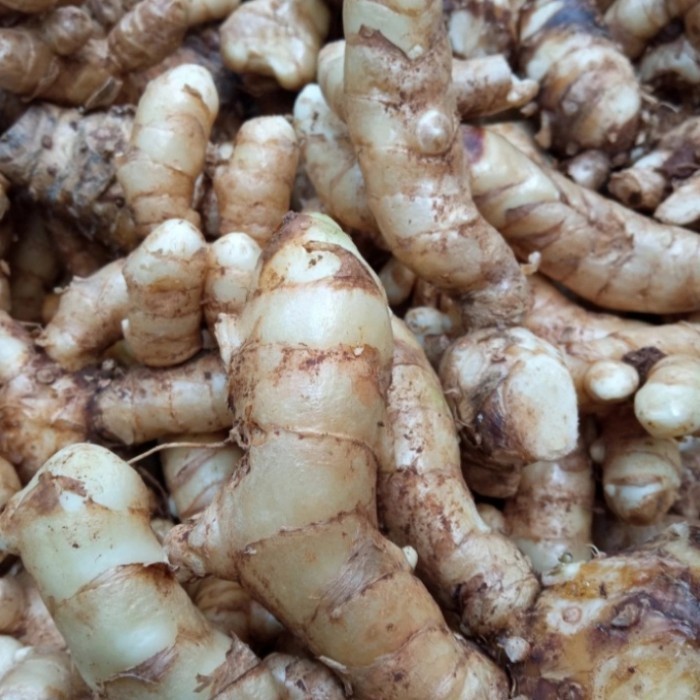 

Terlaris Temu Putih/Kunyit Putih 1 Kg