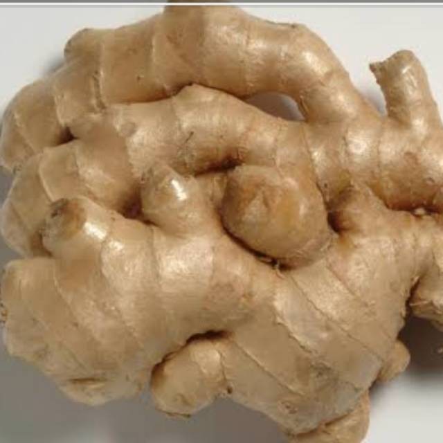 

Terlaris Big Sale 60 % Jual Kunyit Temu Putih Curcuma Zedoaria 500 Grm Murah