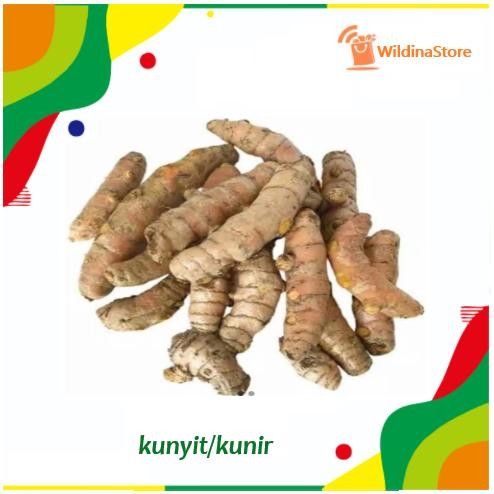 

Terlaris Kunyit 1 Kg Segar