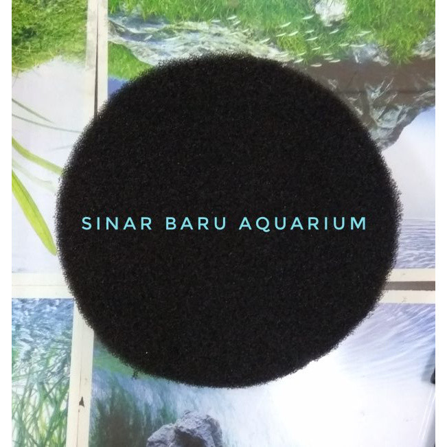 EHEIM FOR EHEIM CLASSIC 2260