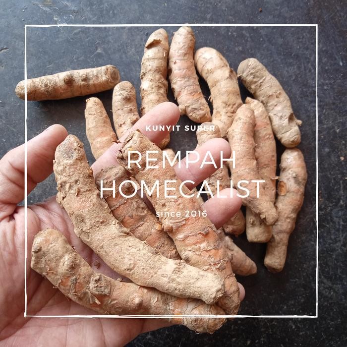 

Terlaris Kunyit Segar Kunyit Rempah Spices