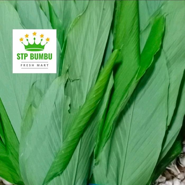 

Terlaris Daun Kunyit Segar 1Kg