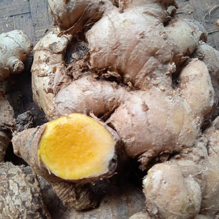 

Terlaris Temu Mangga/Kunyit Mangga Segar 500 Gram