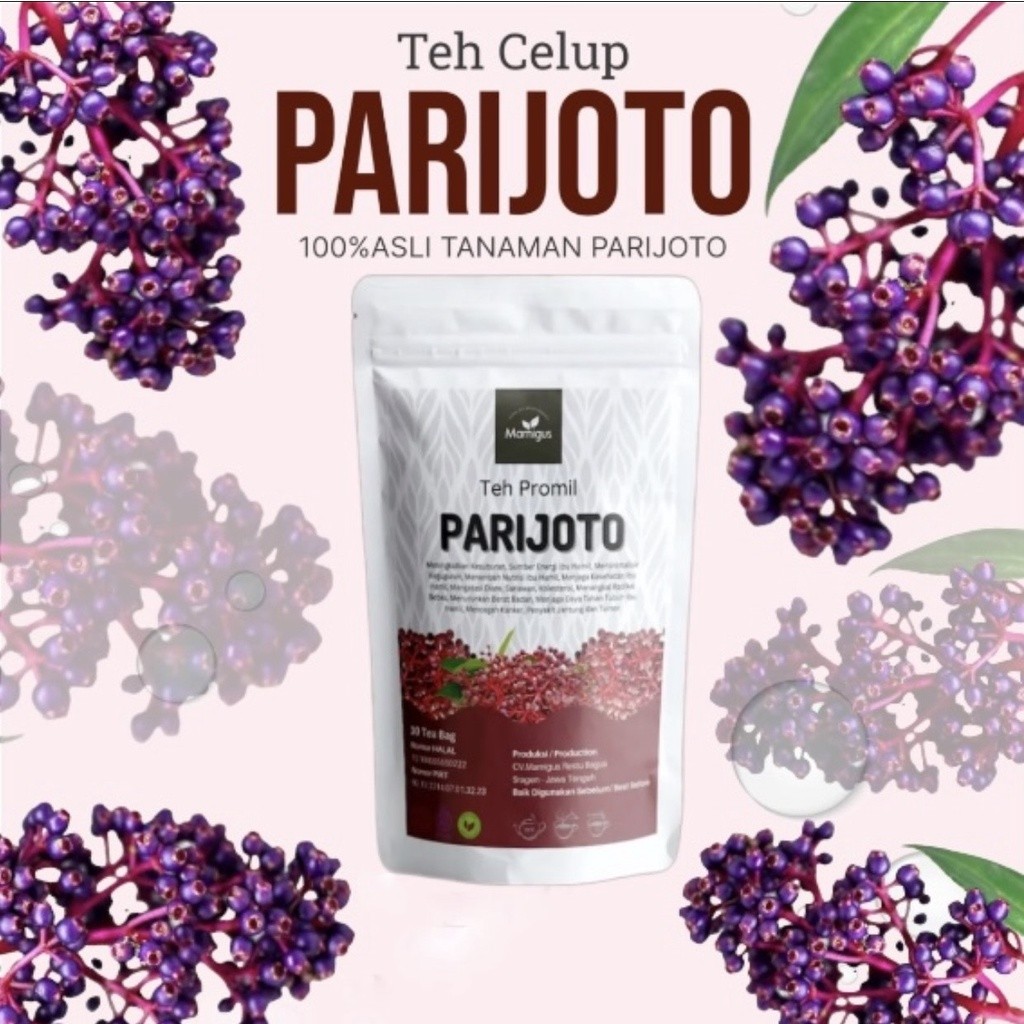

TERMURAH!! Teh Celup Parijoto Mamigus / Parijoto Tea Asli 100% Original