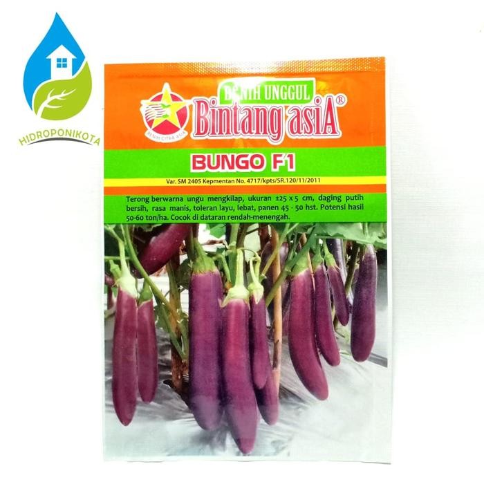 

TERMURAH!! terong ungu bungo