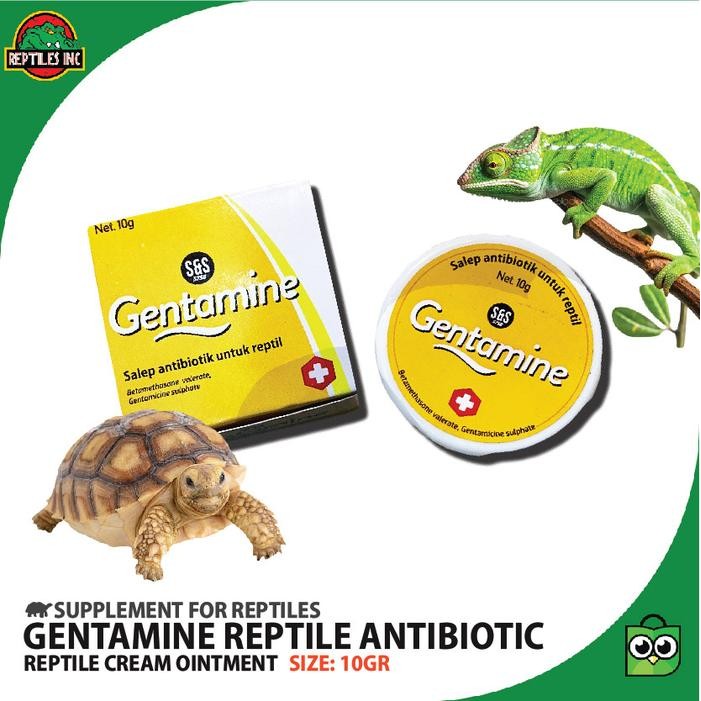Gentamine Salep Obat Antibiotik Reptil / Luka Jar Shell Rot Iritasi
