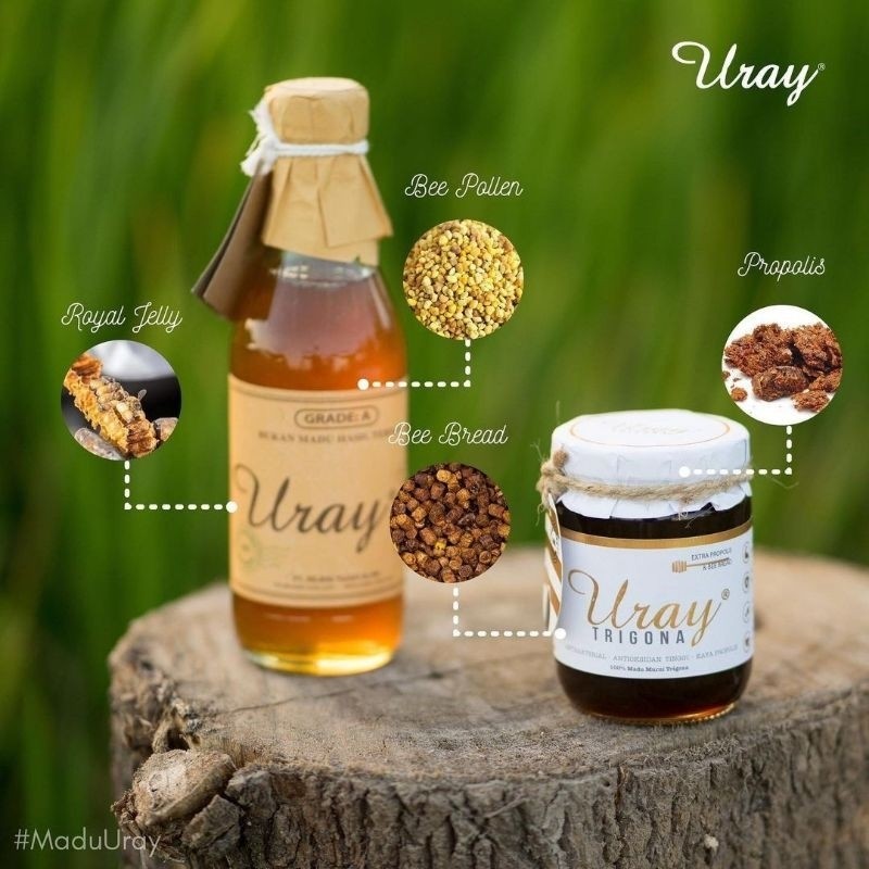 

Sensasi Lezat Madu Uray Trigona 300Gr (230Ml) ~ Madu Propolis ~ Bee Bread ~ Madu Obat