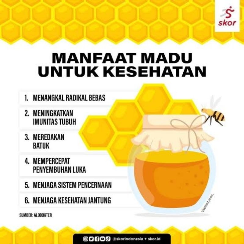 

Sensasi Lezat Super Madu Hutan Golden Honey Al-Bany Nett 1Kg