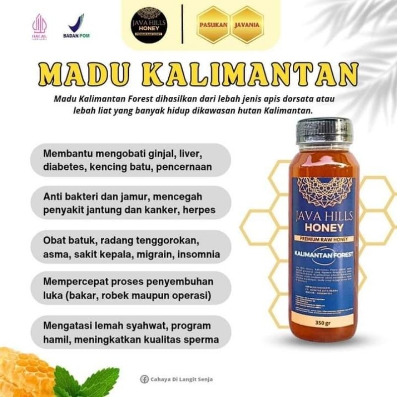 

Sensasi Lezat Madu Kalimantan Javahills 650 Gram