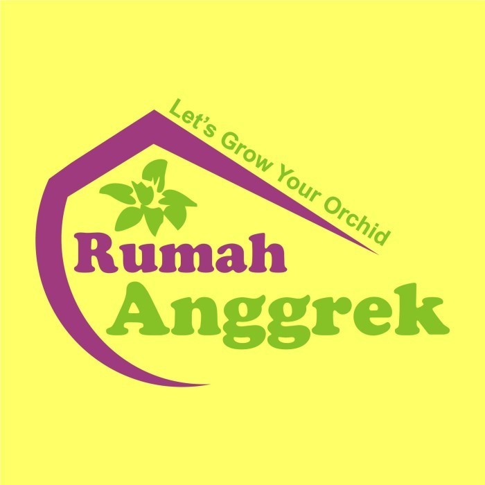 (Allthebest) Bibit Botol Anggrek Bulan Dendrobium Cattleya Vanda Phalaenopsis