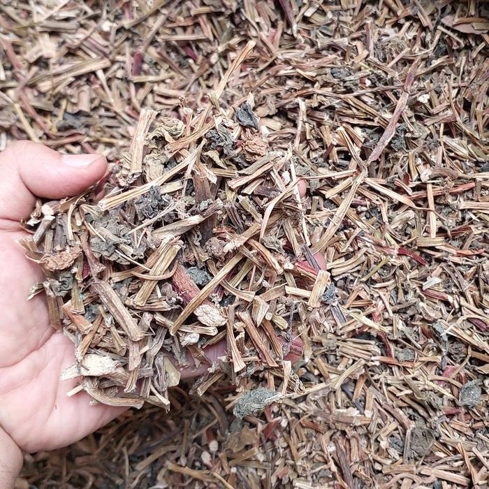 

TERMURAHH!! Binahong Kering 100 gram - Herbal Binahong