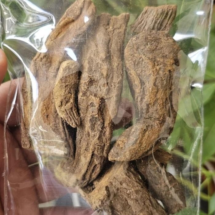 

TERMURAHH!! KLEMBAK / KELEMBAK KERING 500GR / 1KG ORIGINAL