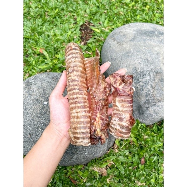 

Mamam_Asoy Rocky N Co Beef Trachea Dehydrated Air Dried Jerky Dog Snack Chew