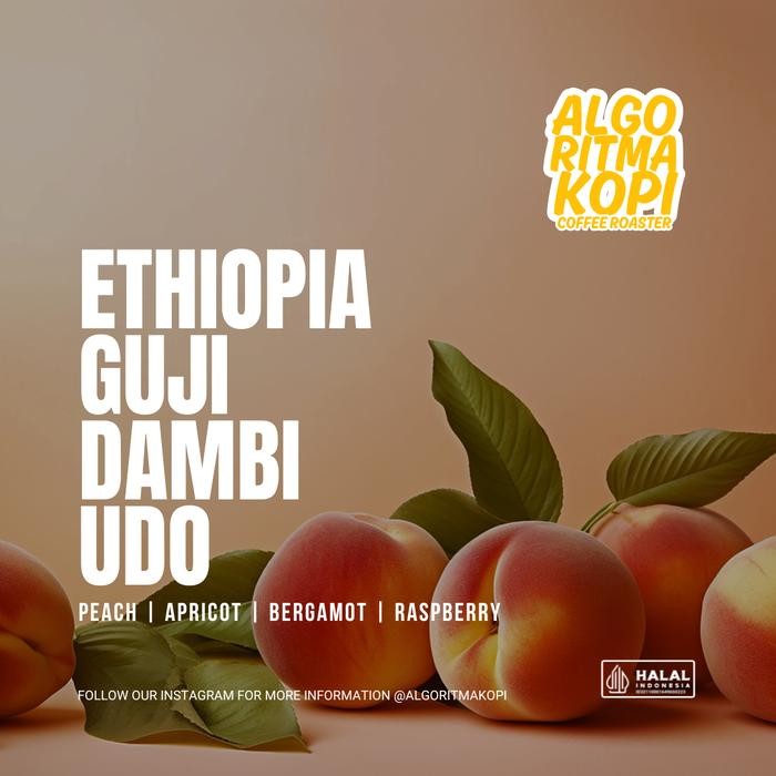 

Ethiopia Guji Dambi Udo Biji Kopi Arabika Filter Coffee Beans Roasted by AlgoritmaKopi
