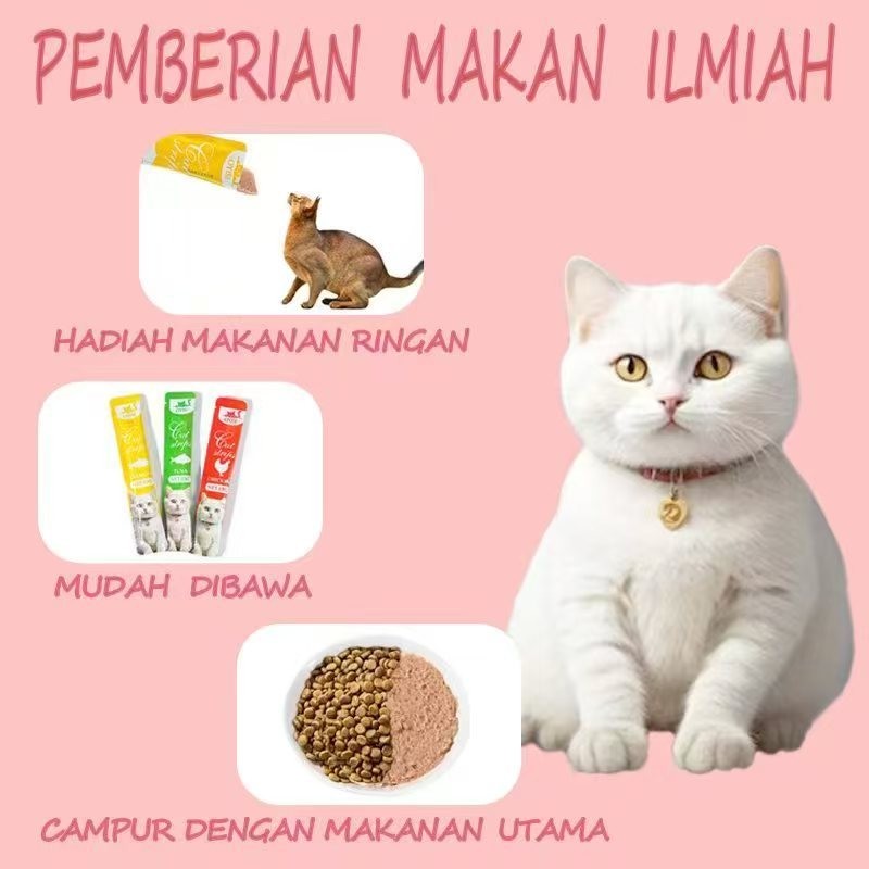

Andrianbijaksana 100Pcs Snack Kucing Penggemuk Creamy Treats 3 Flavors Tuna/Salmon/Chicken Ayam