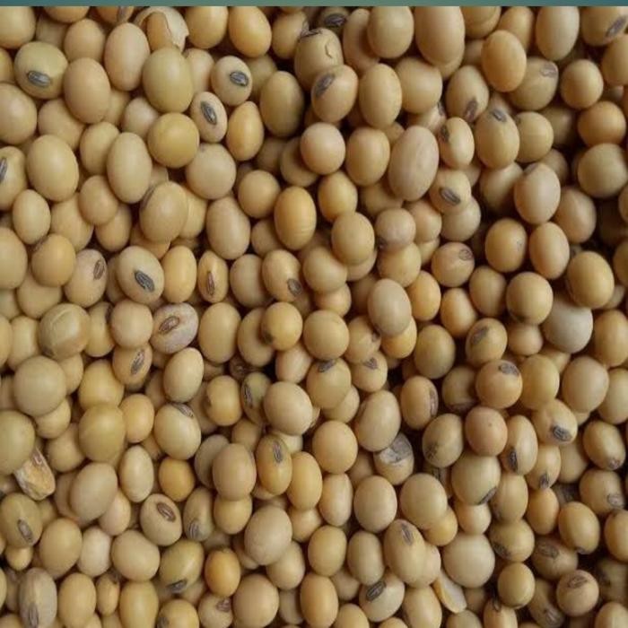 

KACANG KEDELAI MENTAH SUPER IMPOR-5KG-10KG