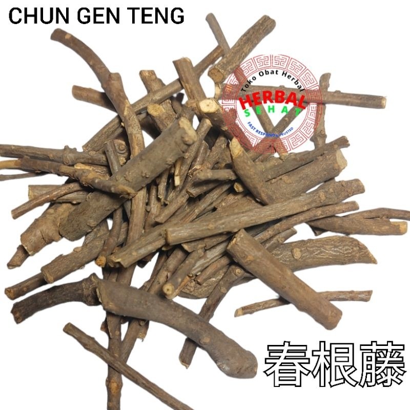 

Chun Gen Teng 100 Gram Herbal Cun Kin Then - Melancarkan Peredaran Darah PREMIUM
