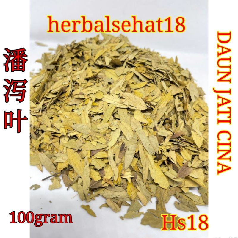 

Daun Jati Cina 100 Gram Daun Jati Belanda PREMIUM