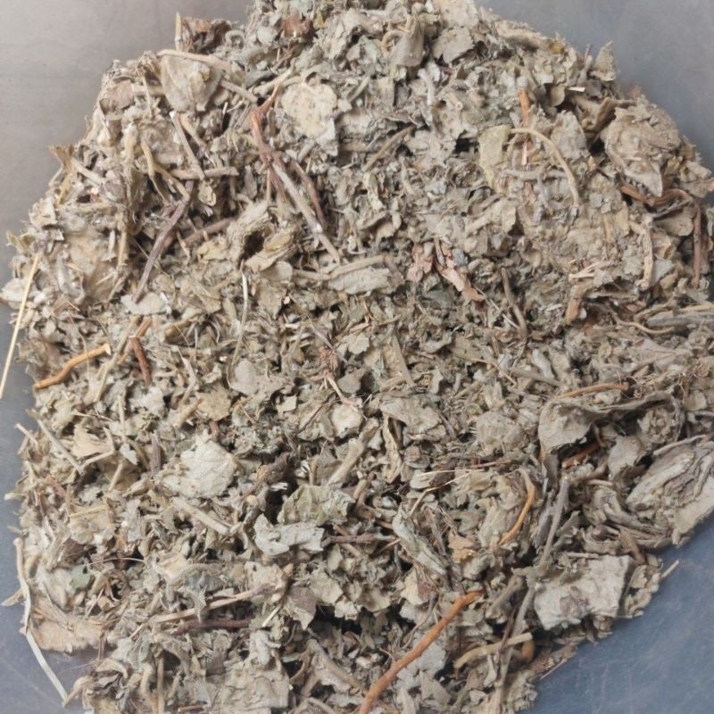 

Shu Yang Quan 600g / Solanum Septemlobum Bunge Herbal PREMIUM