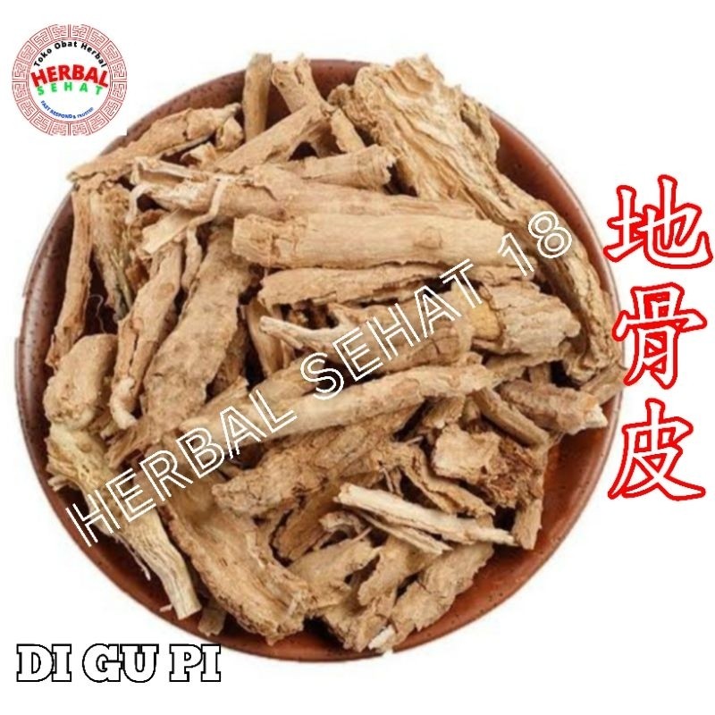 

300 gram - Di Gu Pi Cortex Radicis Lycii / Lycium Bark - Thi Kut Phi PREMIUM