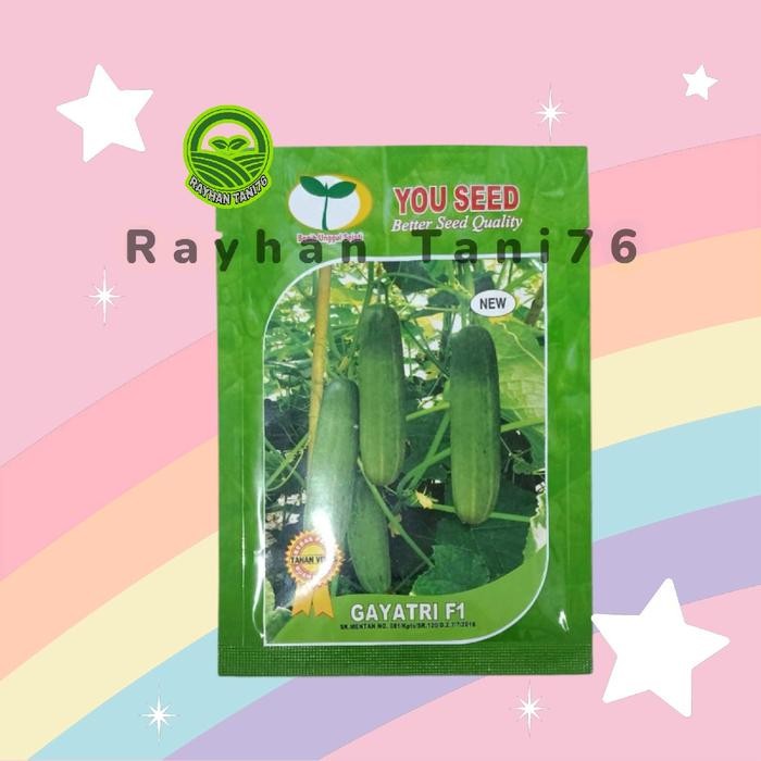 Benih Timun Lalap GAYATRI F1 20 Gram Cap You Seed 800 an biji Kode 1402