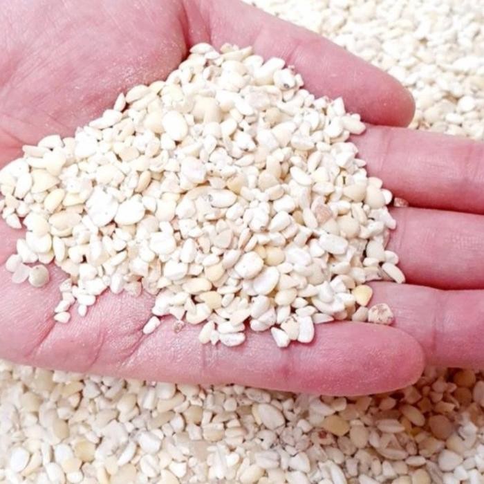 

Jali Jali Aceh Super 500Gr Terlaris