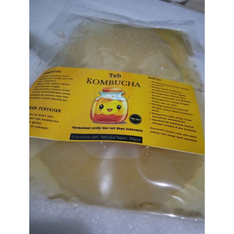 

WHYN!! Kombucha SCOBY Bonus Starter