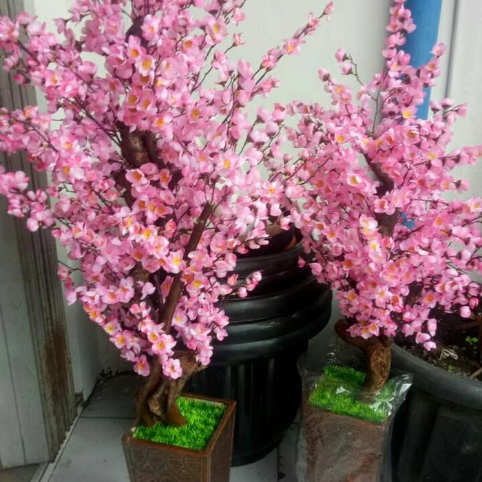 pohon sakura/ pohon imlek/ pohon angpao ukuran 1 meter yg kanan