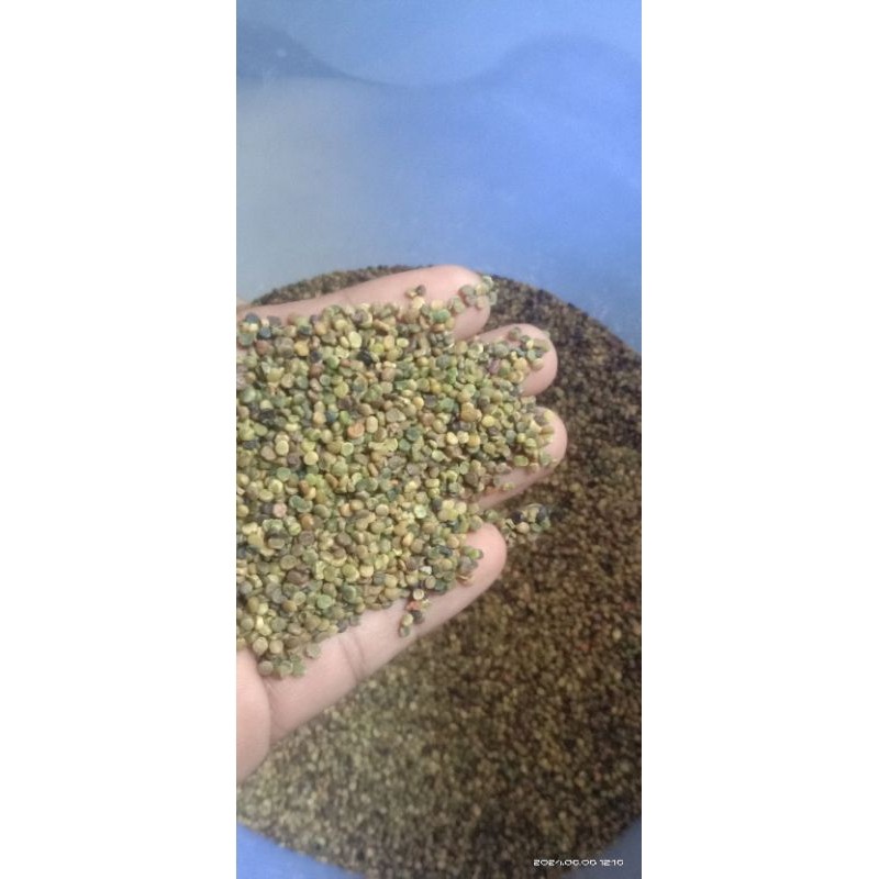Happygardens Benih/Biji Indigofera 1Kg / Biji Indigofera Premium / Gread A / Isi -+ 120.000