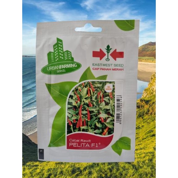 Ready Stock Benih Cabai Rawit Pelita F1