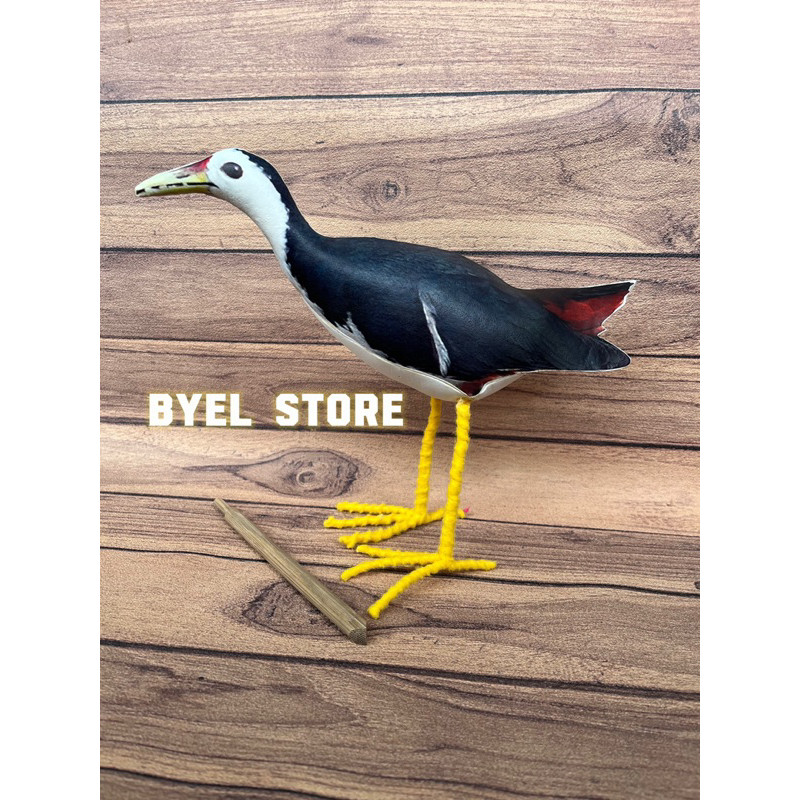 Jontrot boneka patung burung ruak ruak kareo sawah