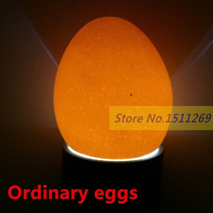 Lampu Senter Teropong Telur Inkubator Tester Mini Telur Pakai Baterai untuk Telor Ayam Burung Kacer