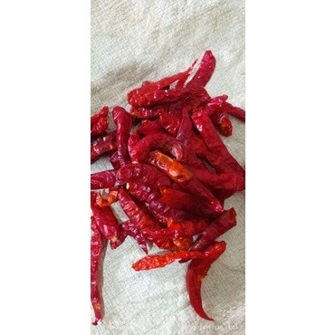 

Murah 1Kg Cabe Rawit Caplak Teja Kering Kualitas Super Pedas