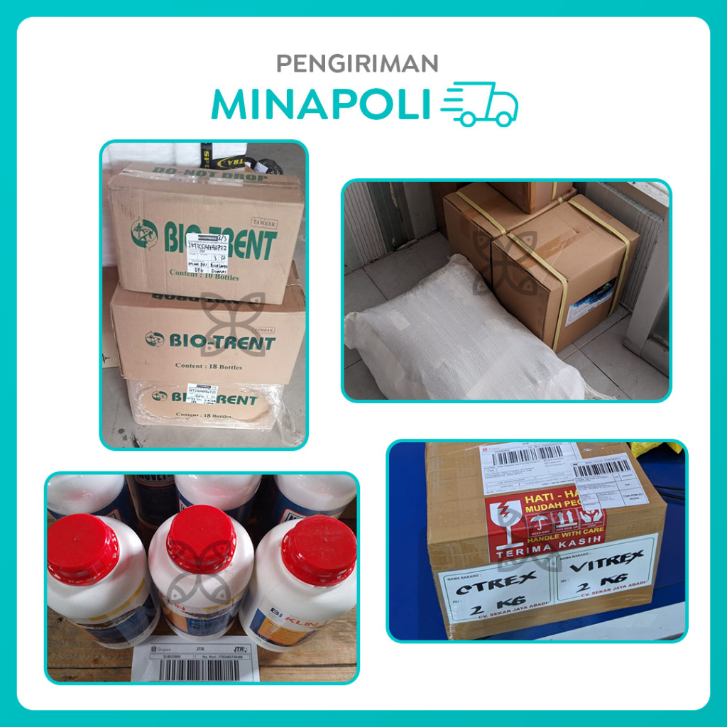 Pakan Ikan Otohime EP2 Kemasan 20 kg