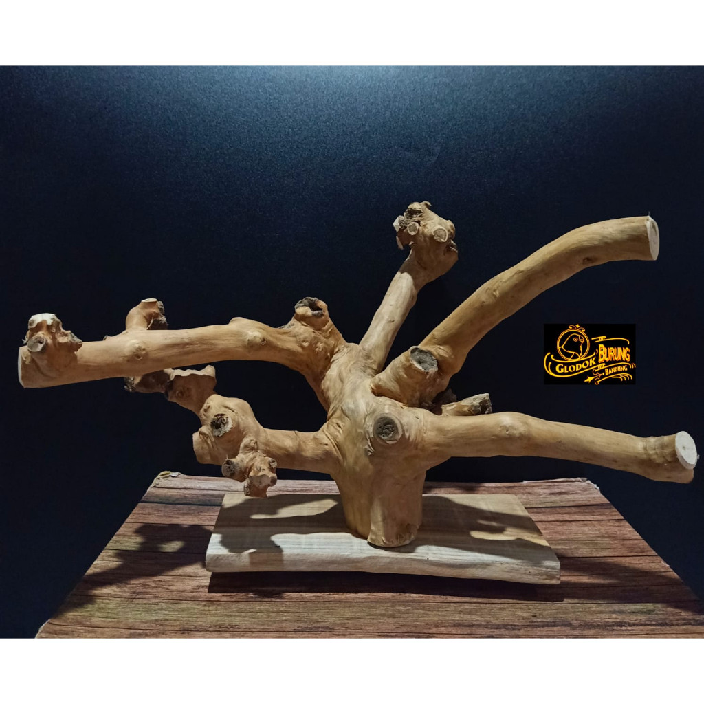 TANGKRINGAN BURUNG KANDANG SOLITER KAYU KOPI KURUNG KOTAK LOVEBIRD FALK SUNCUNURE IGUANA TUPAI SUGAR