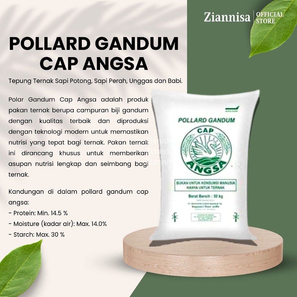 Pollard Gandum Cap Angsa 50 Kg Nutrisi Lengkap