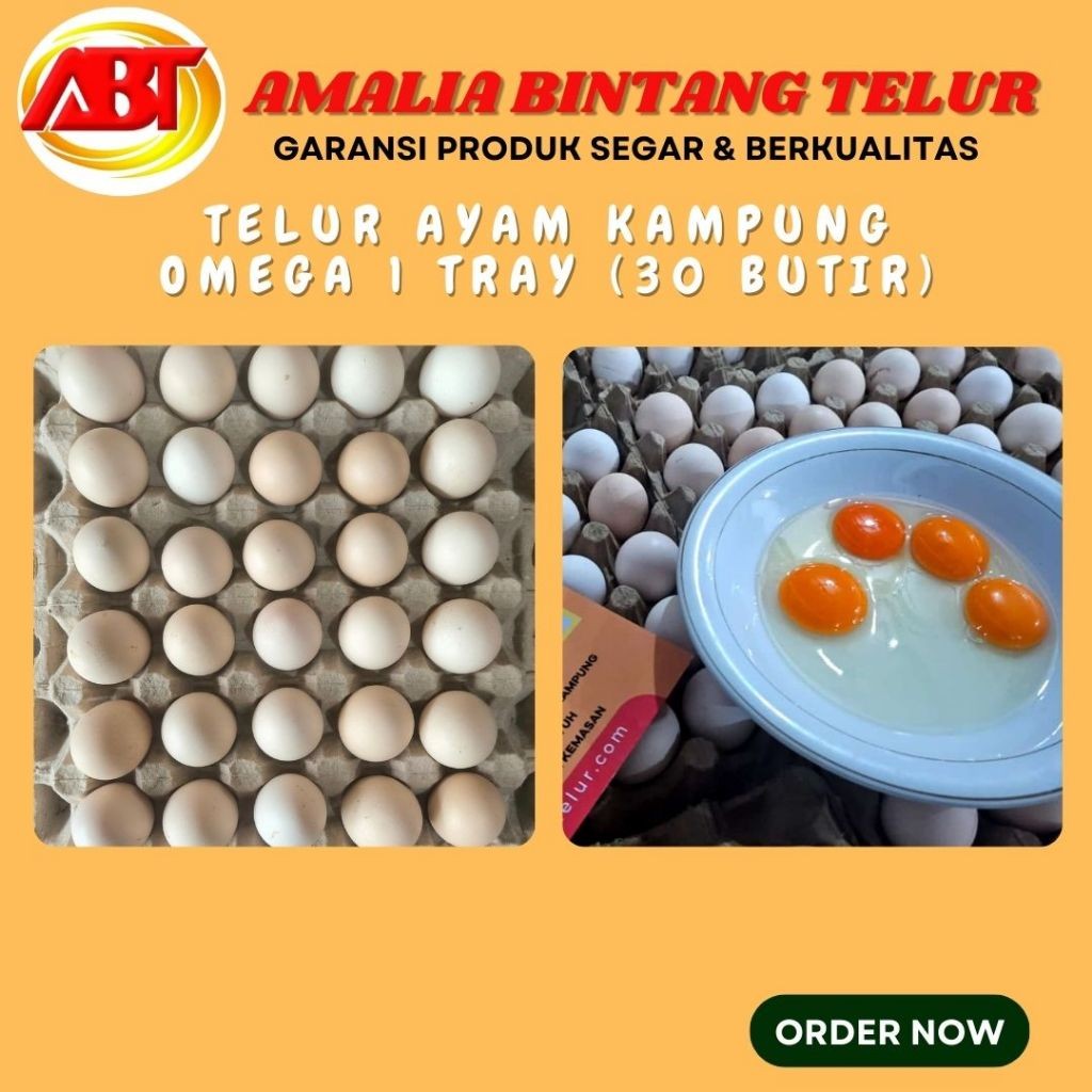 

Telur Ayam Kampung Omega Isi 30 Butir Segar Berkualitas