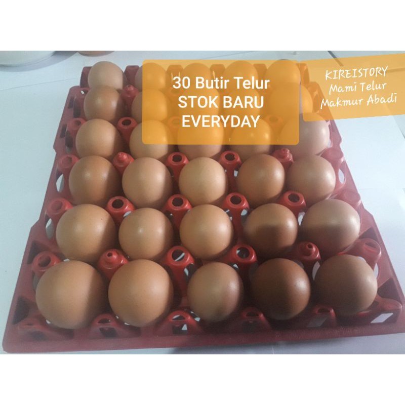 

Telur Ayam OMEGA 30 Butir Stock Baru