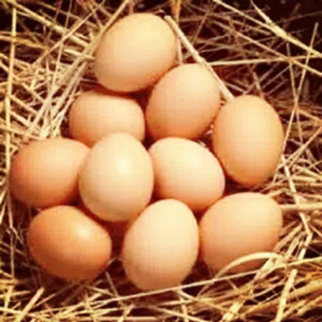 

Telur ayam / bahan makanan pokok/ makanan segar pasar Bandung