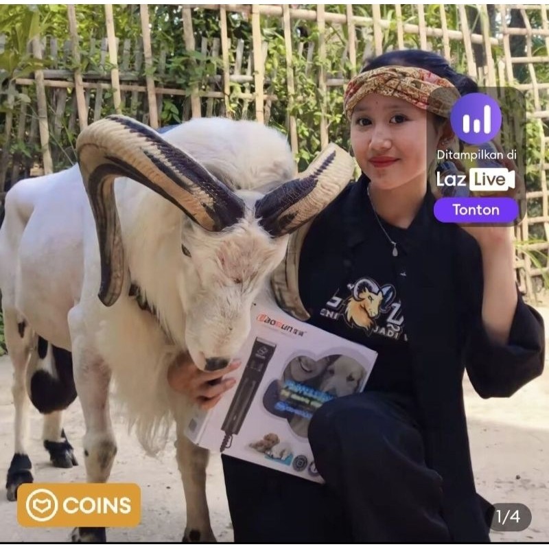 Mesin Cukur Domba Garut Baorun S1