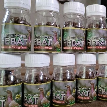 Jamu Merpati Giring Keras "Jamu Hebat"