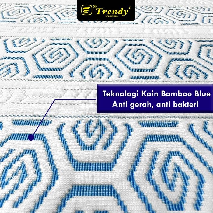 Trendy Orthopedic Bed (Kasur Kesehatan Tulang Belakang/Punggung) Kasur Furniture