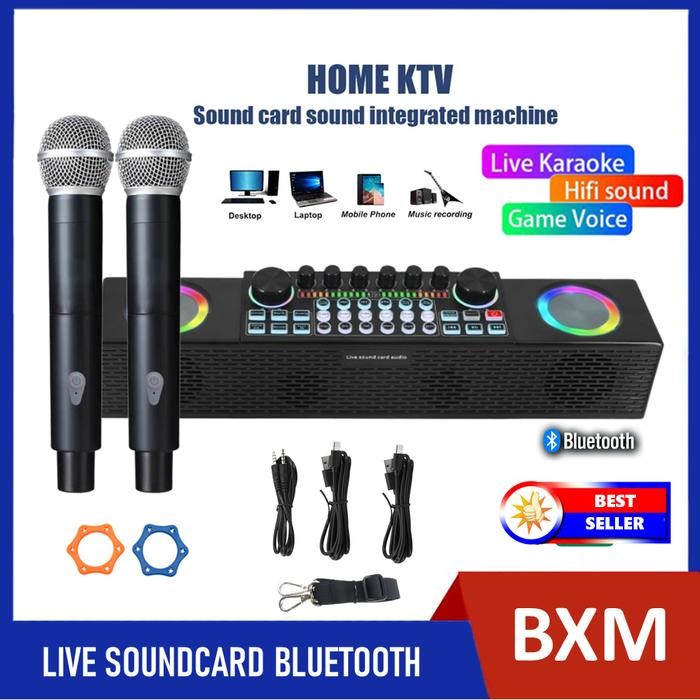 Soundcard SY6 Bluetooth Speaker 2 Mic Wireless Microphone Karaoke