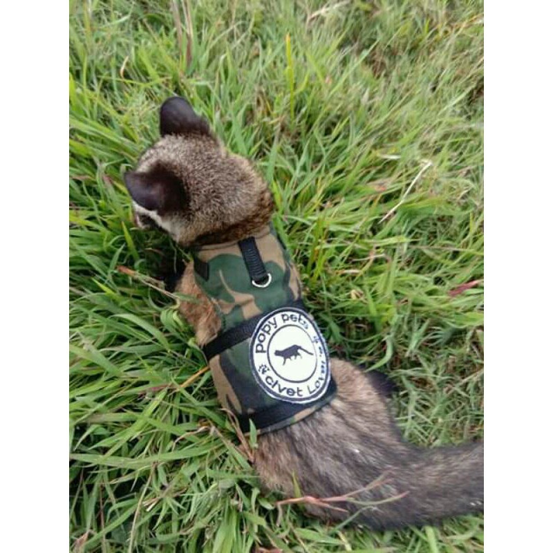 Harnes Rompi Tali Kalung Untuk Musang Kucing Otter