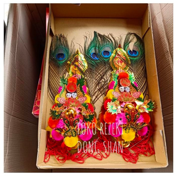 Kimhua jumbo bulu merak