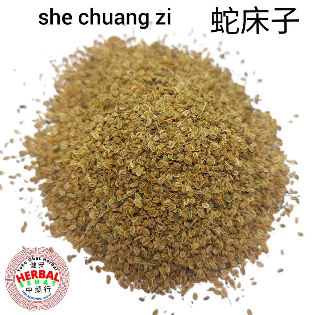 

She Chuang Zi 300 Gram Cnidium Monnieri [PREMIUM]